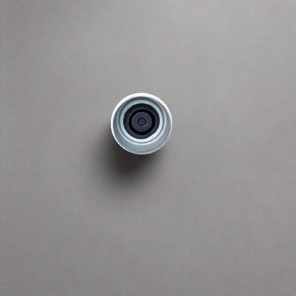 dust cap