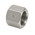 Steel Tube Cap Fitting